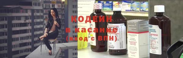 индика Балабаново
