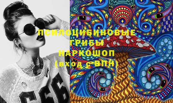 индика Балабаново