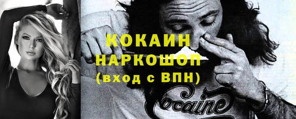 индика Балабаново