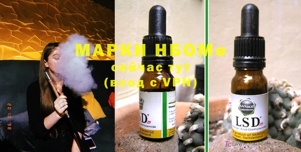 индика Балабаново