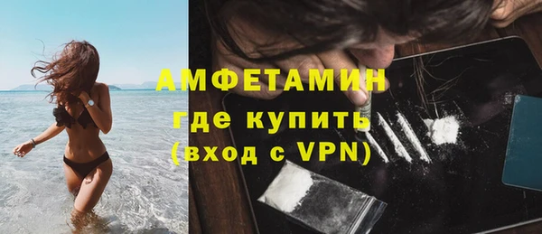 индика Балабаново