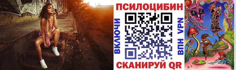Галлюциногенные грибы Cubensis  Купить где  Красный Сулин 
